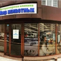 Ветеринарная клиника Мир животных Фото 2 на проекте Vrn.vetspravka.ru Ветеринарная клиника Мир животных Фото 2 на проекте Vrn.vetspravka.ru