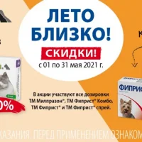 Зоомагазин Нора Фото 2 на проекте Vrn.vetspravka.ru Зоомагазин Нора Фото 2 на проекте Vrn.vetspravka.ru