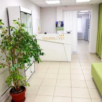 Ветеринарная клиника GoldenVet Фото 2 на проекте Vrn.vetspravka.ru Ветеринарная клиника GoldenVet Фото 2 на проекте Vrn.vetspravka.ru